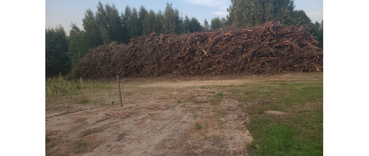 clean-up of overgrown agricultural land