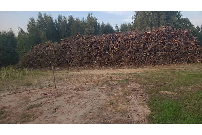 clean-up of overgrown agricultural land