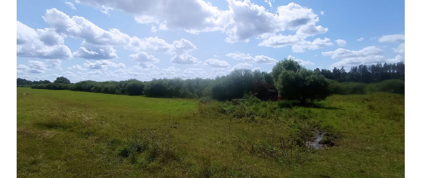 clearing the forest edge from bushes