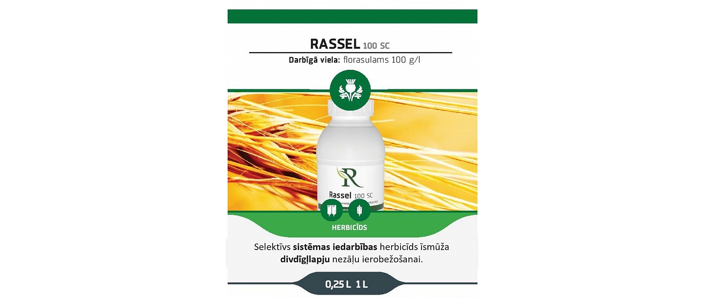 RASSEL 100 SC