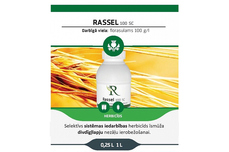 RASSEL 100 SC