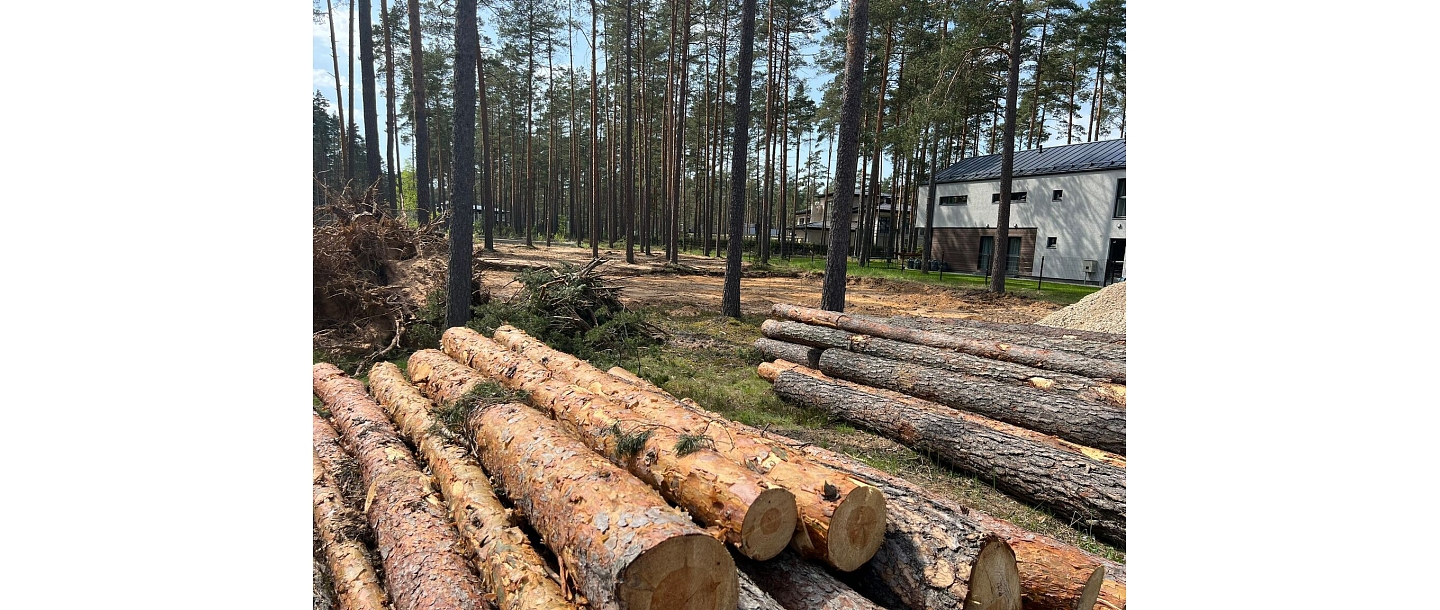 Deforestation