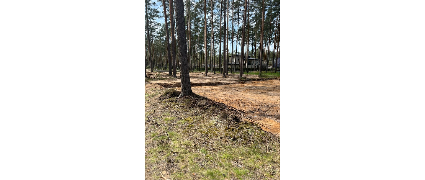 Forest land transformation service