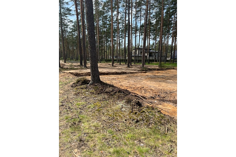 Meža zemes transformācijas pakalpojums