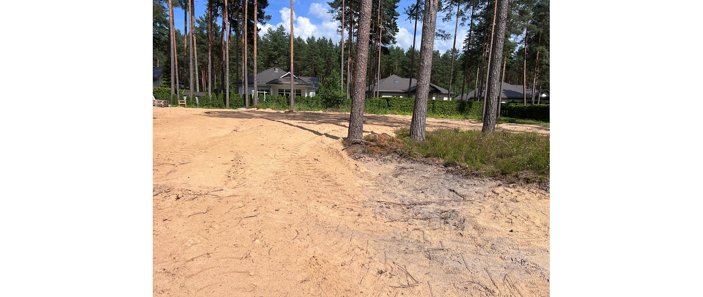 purchase of forests