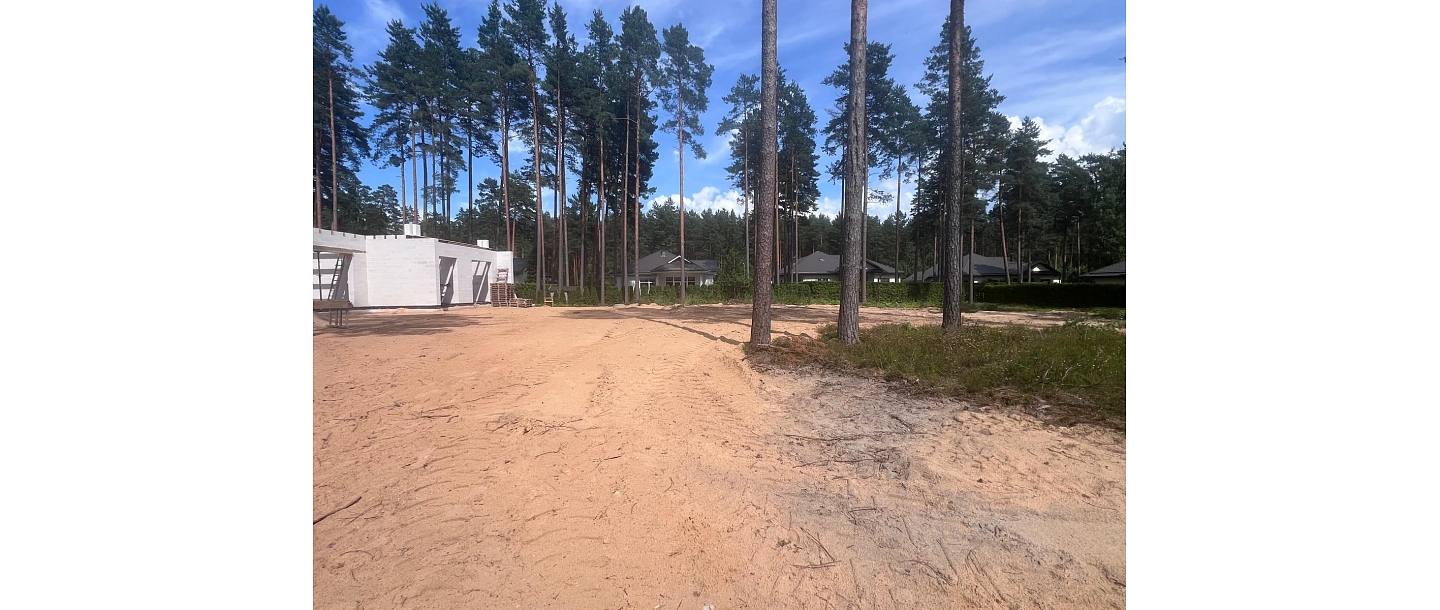 forest purchase