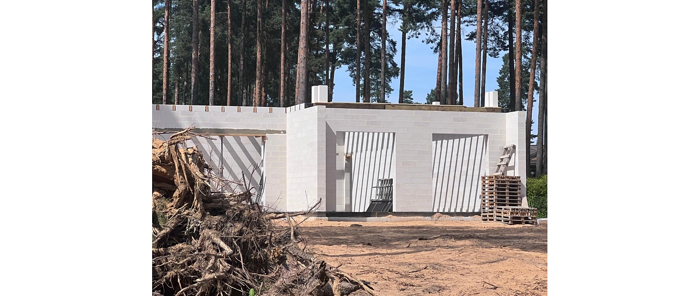 purchase of forest properties