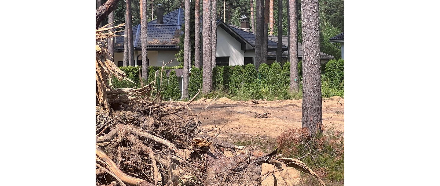 purchase of forest properties