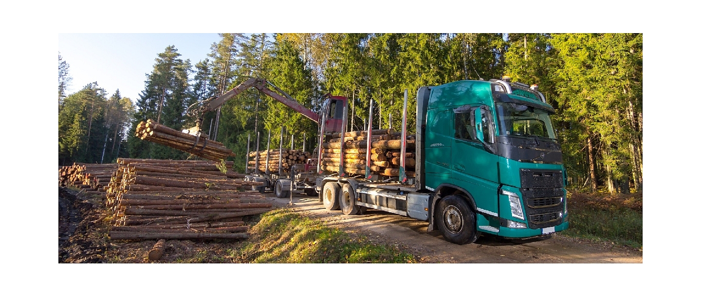 Timber transport services Jekabpils
