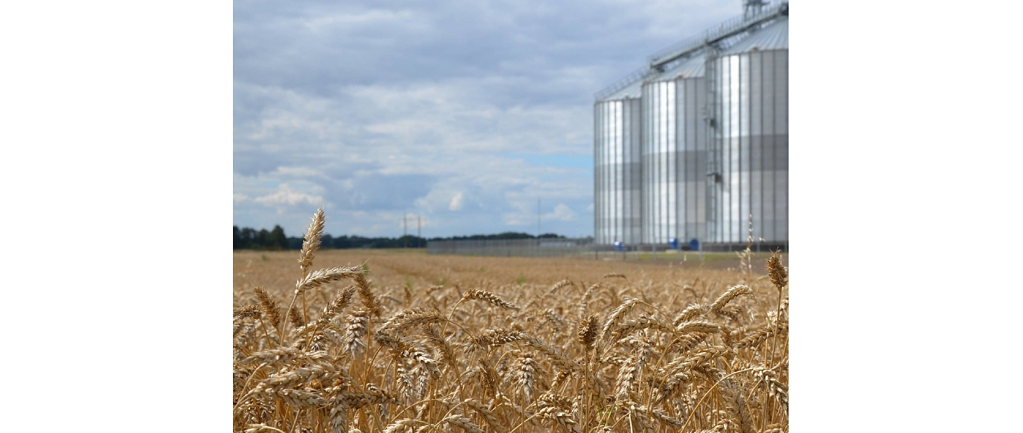 Grain acceptance point Linas Agro