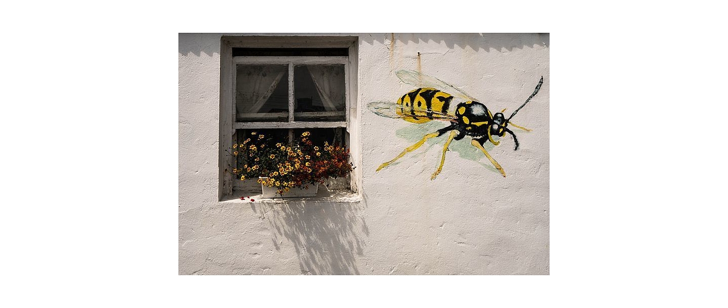 Дератизация, дезинсекция