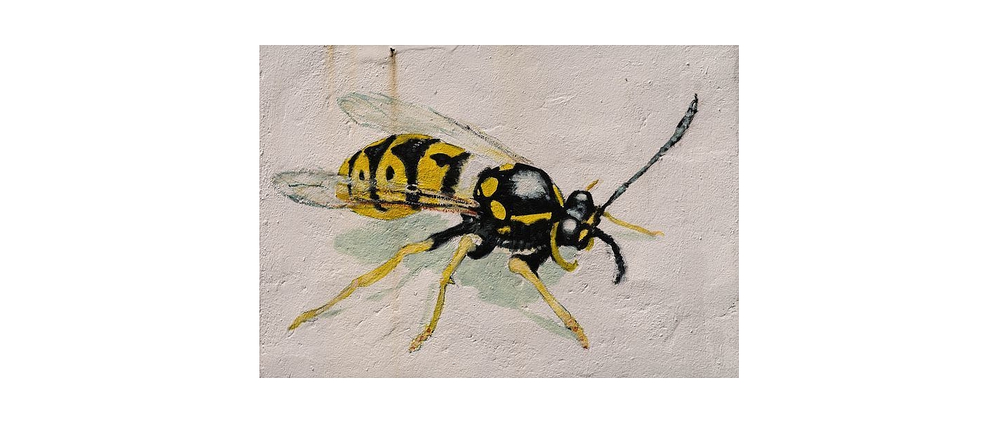 Insertion of insects