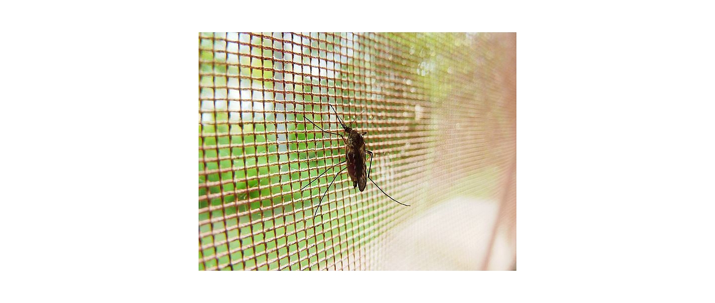 Травление комаров
