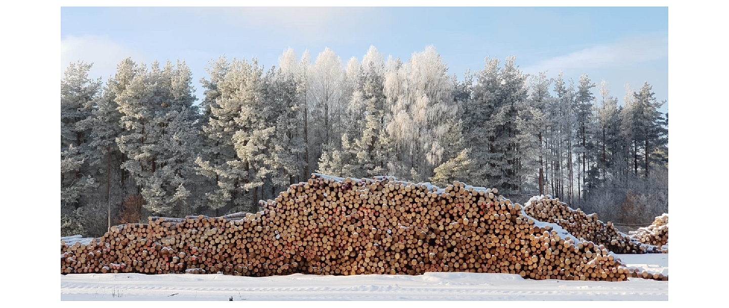 Logging company in Kurzeme