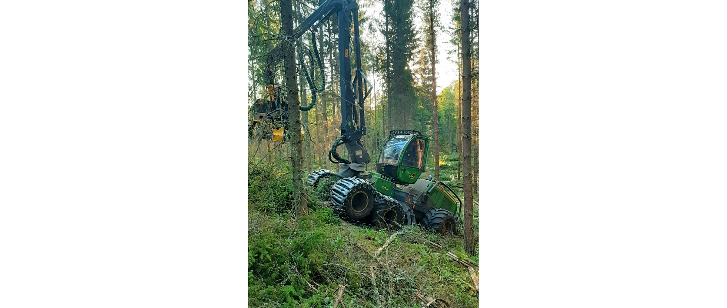 Mežizstrādes pakalpojumi