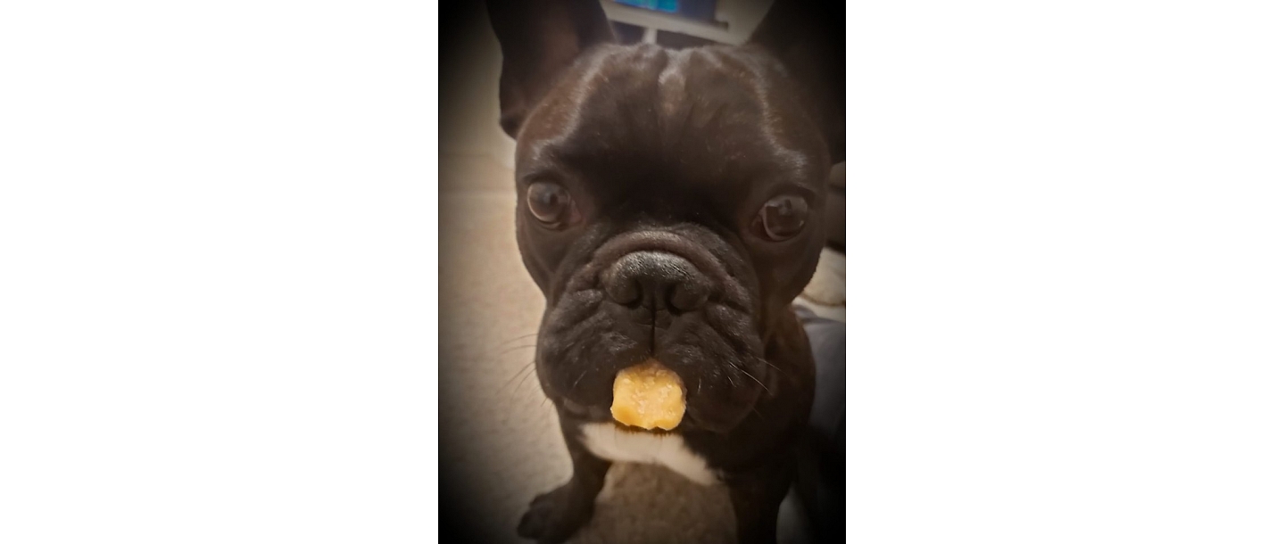 "Paw", fresh food concept store in Ogre