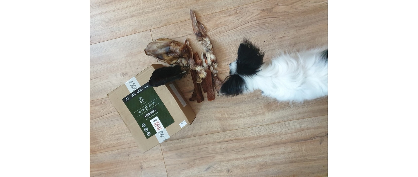 "Paw", fresh food concept store