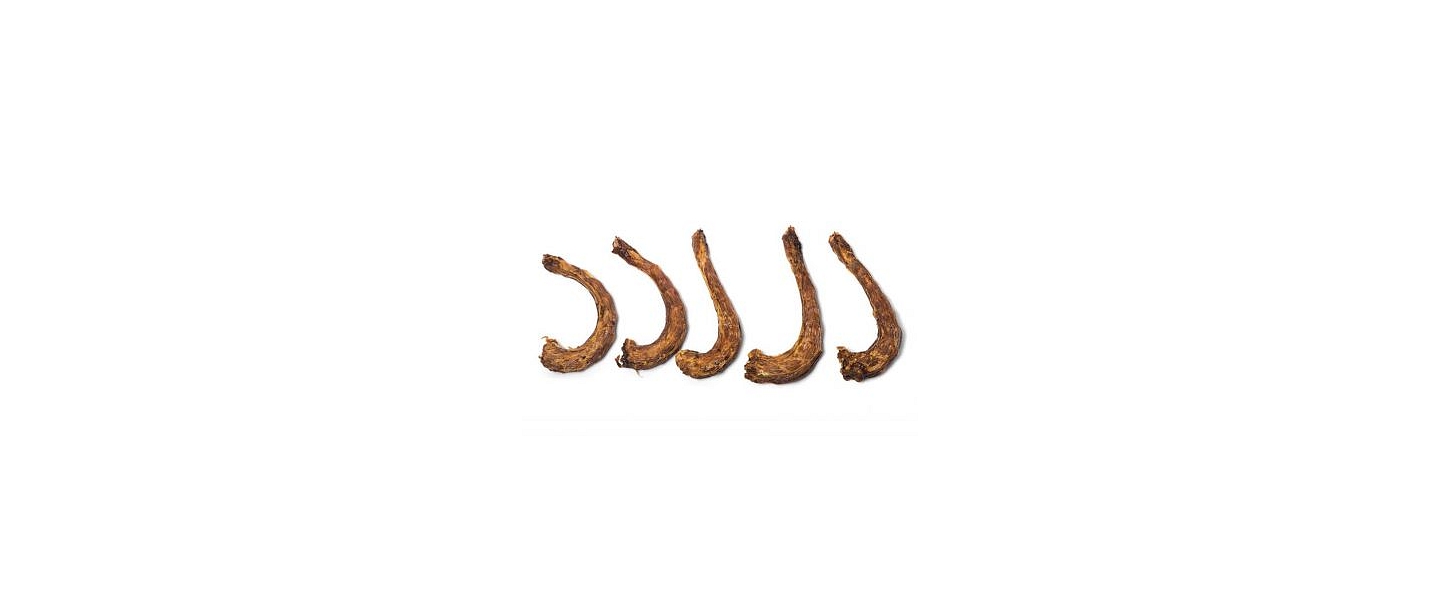 "Paw", fresh food concept store