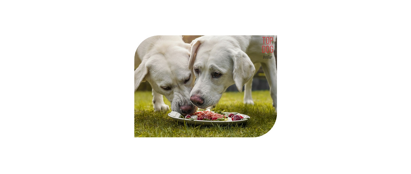"Paw", fresh food concept store