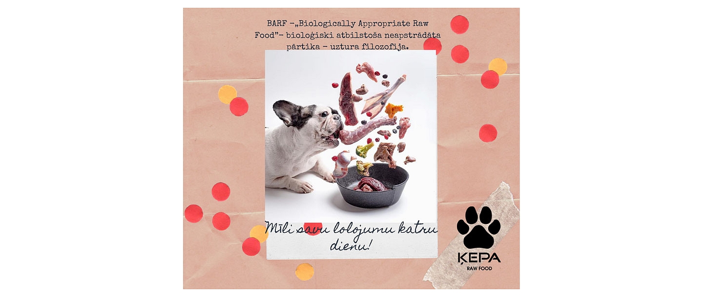 "Paw", fresh food concept store