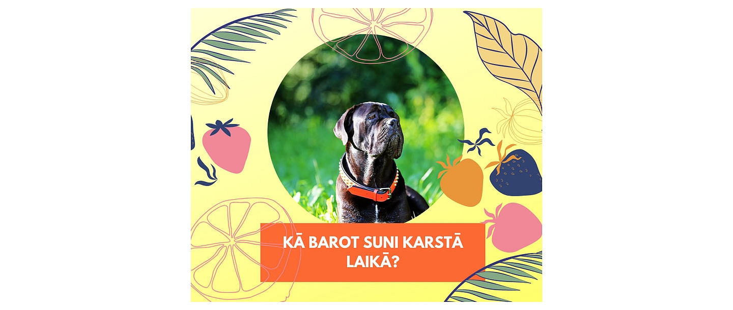 "Ķepa", svaigbarības koncepta veikals
