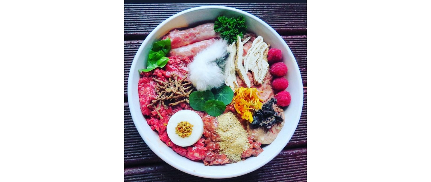 "Paw", fresh food concept store