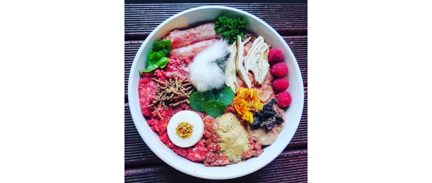 "Paw", fresh food concept store