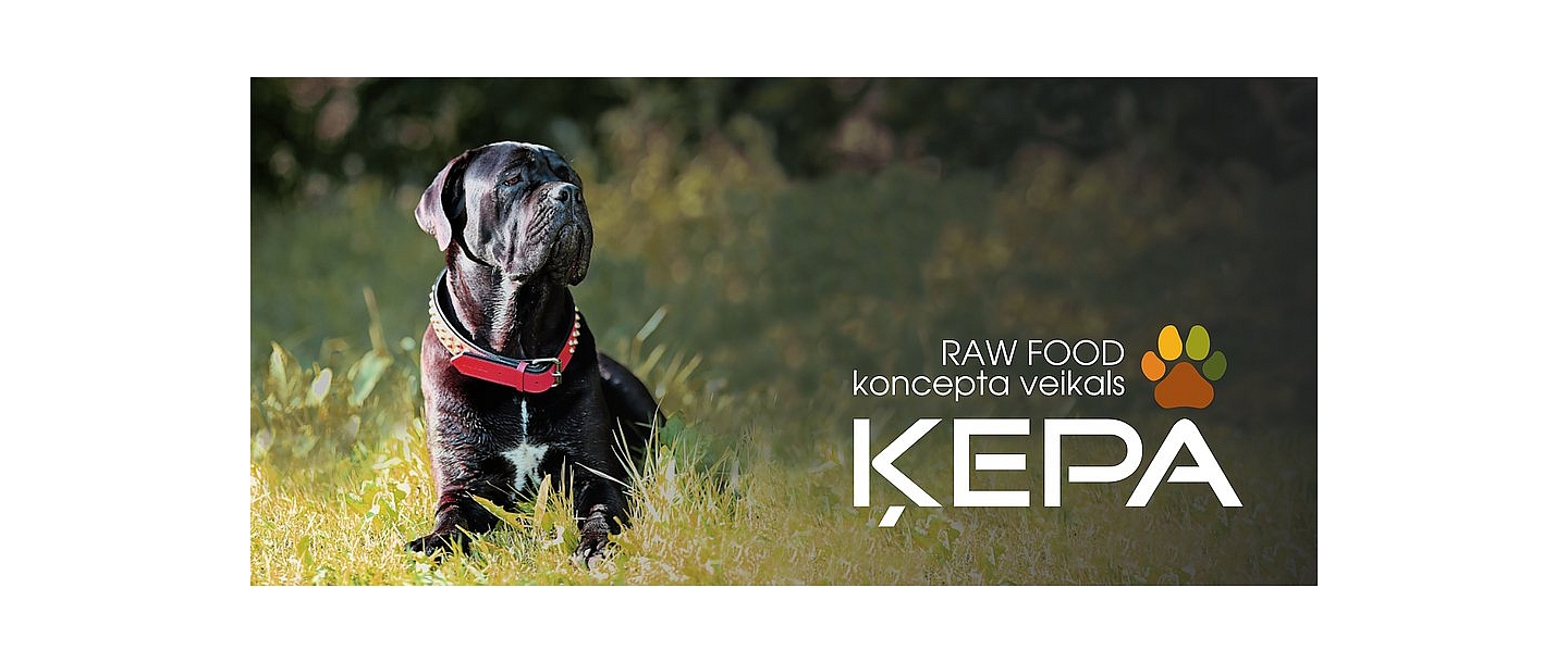 "Paw", fresh food concept store