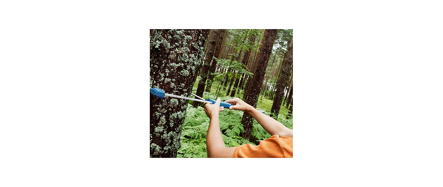 Forest administration
