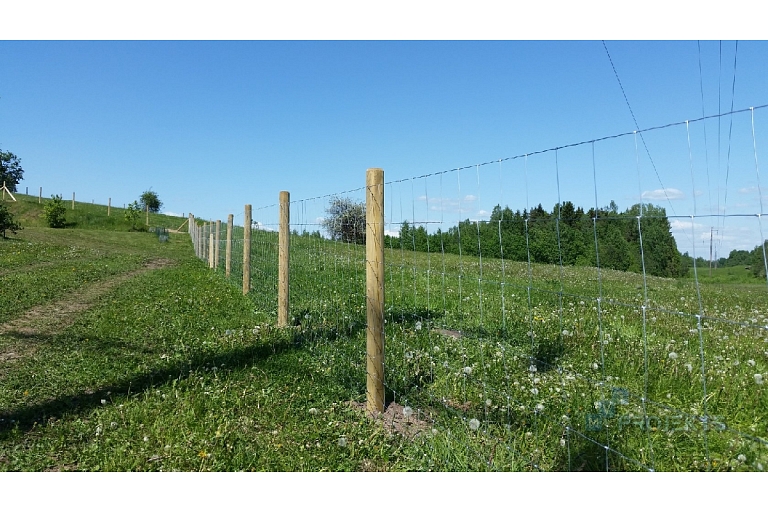 Agricultural mesh fence