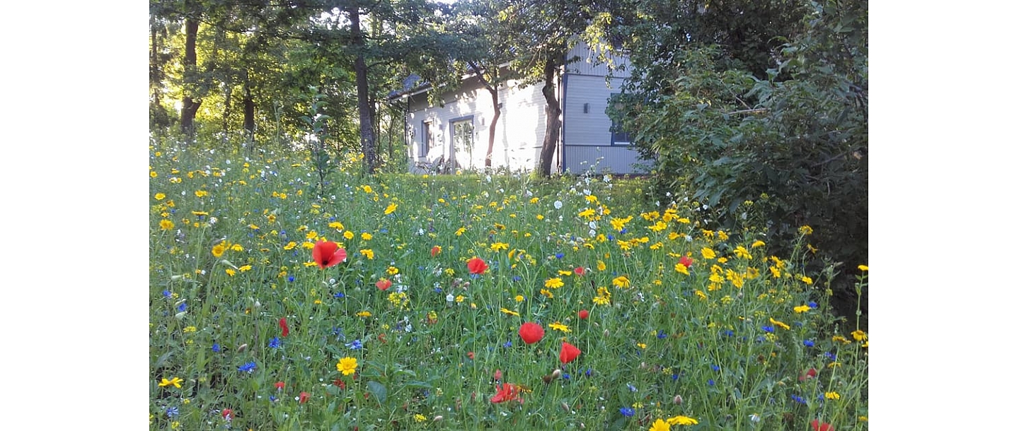 Guest house "Stikani"