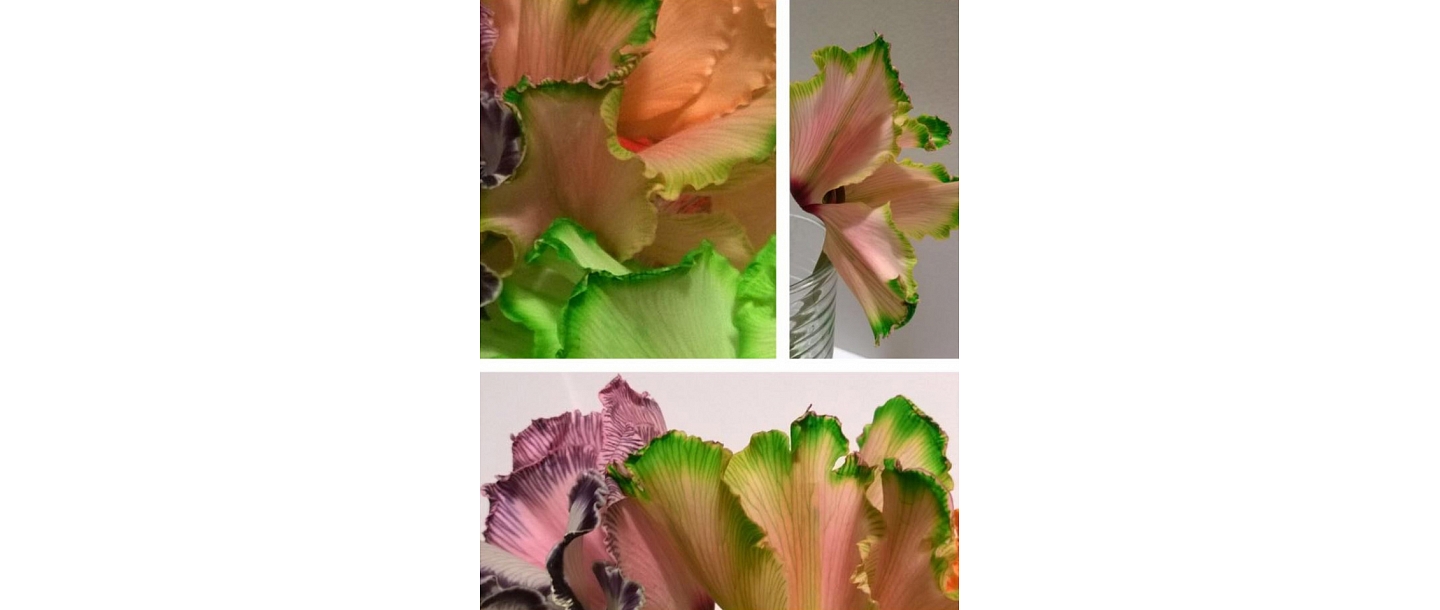 Специальные цветы