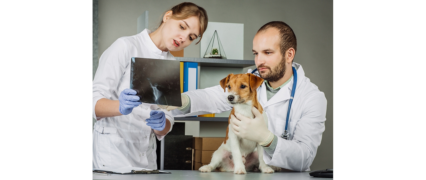 Veterinārā klīnika IKAROSS