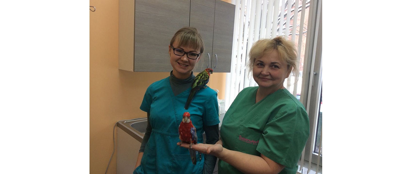 Veterinārā klīnika IKAROSS