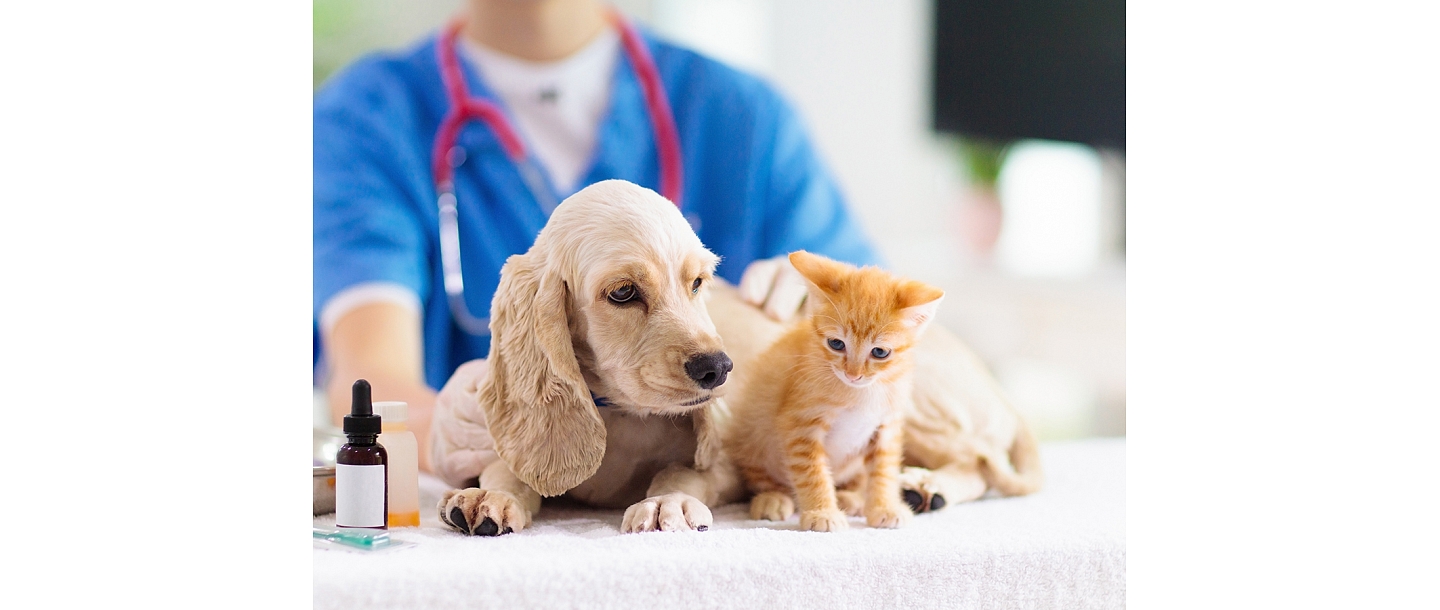 Veterinārā klīnika IKAROSS
