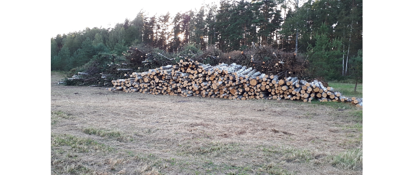 Mežizstrāde un mežkopība. Teritoriju sakopšana, koku izzāģēšana, zāles pļaušana un mulčēšana, zaru šķeldošana