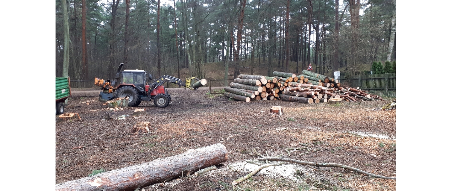 Logging and forestry. Territory cleanup, tree sawing, grass cutting and mulching, wood chipping