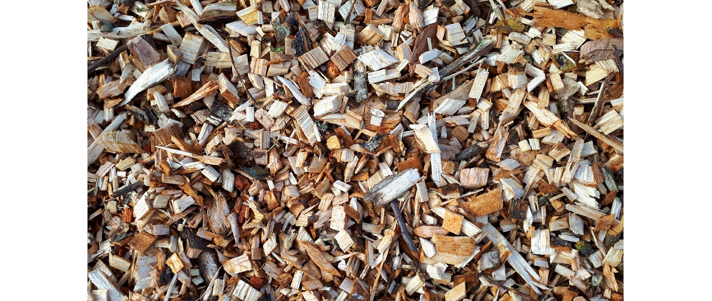 Logging and forestry. Territory cleanup, tree sawing, grass cutting and mulching, wood chipping