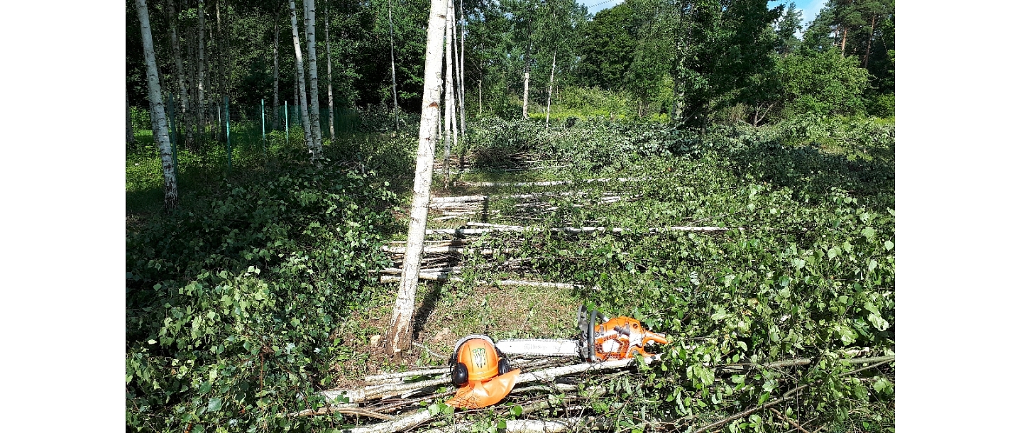 Mežizstrāde un mežkopība. Teritoriju sakopšana, koku izzāģēšana, zāles pļaušana un mulčēšana, zaru šķeldošana