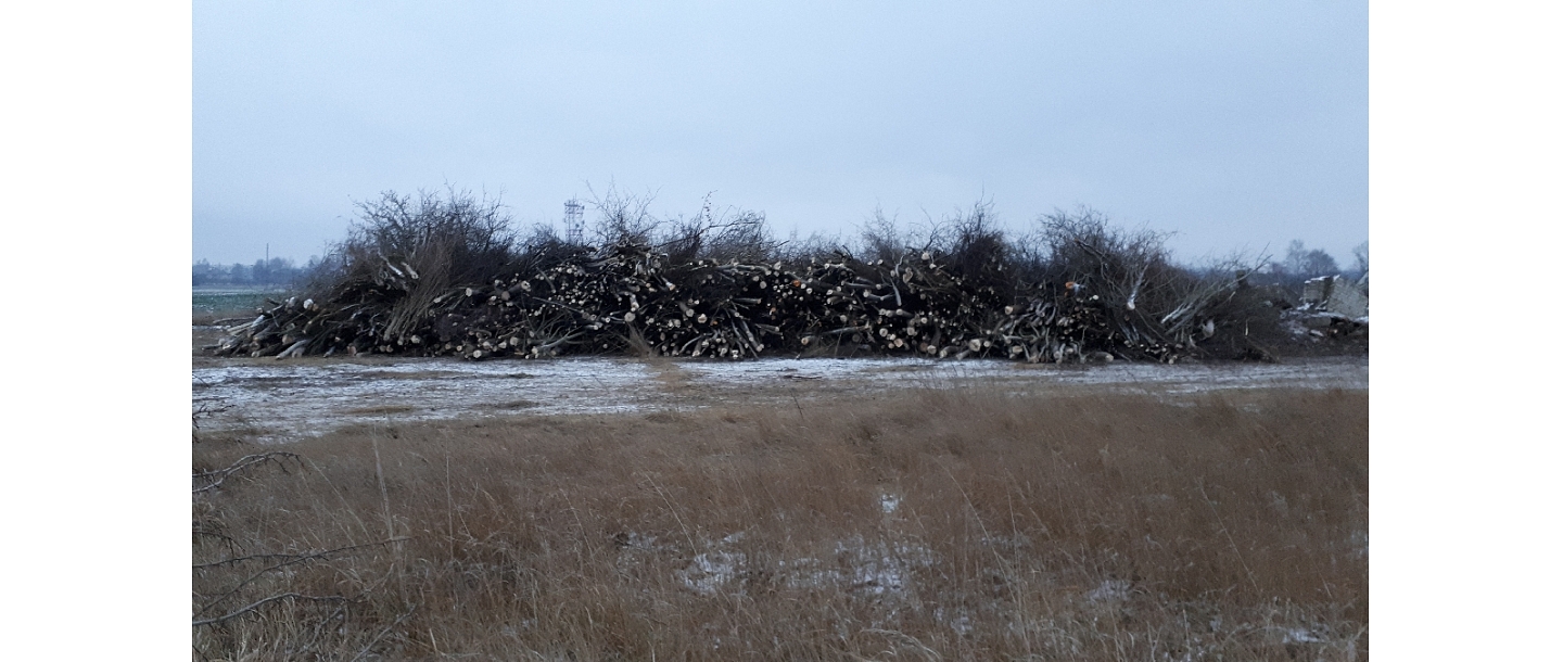 Logging and forestry. Territory cleanup, tree sawing, grass cutting and mulching, wood chipping
