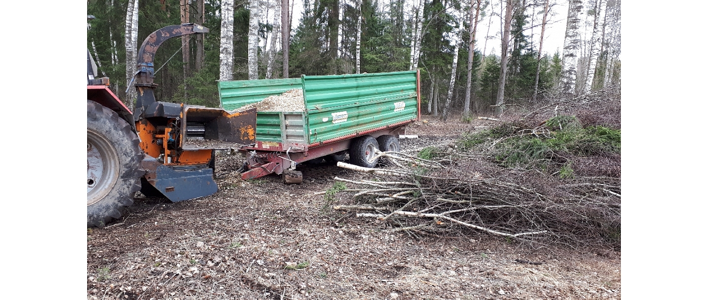 Mežizstrāde un mežkopība. Teritoriju sakopšana, koku izzāģēšana, zāles pļaušana un mulčēšana, zaru šķeldošana
