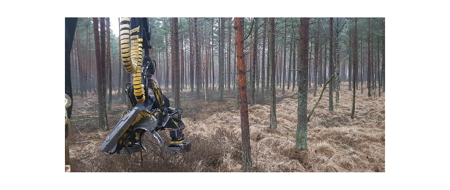 &quot;AlderWood&quot;, LTD, Logging in Kurzeme