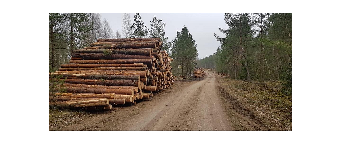 "AlderWood", LTD, Logging in Kurzeme