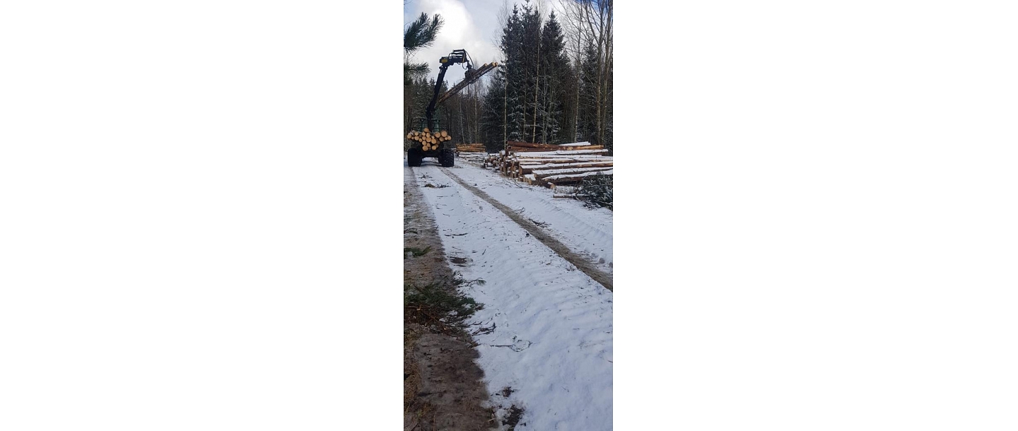 "Ольха", ООО, Лесозаготовка в Курземе
