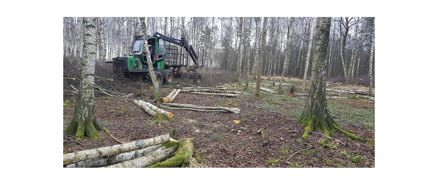 "AlderWood", LTD, Logging in Kurzeme