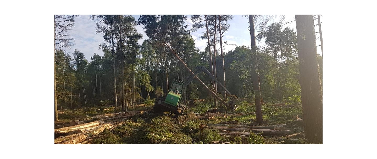 &quot;AlderWood&quot;, LTD, Logging in Kurzeme