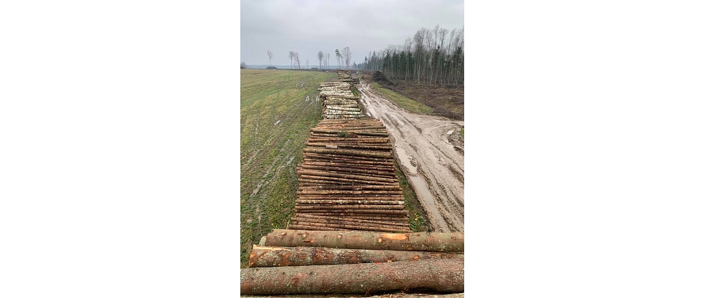 Logging services: forwarder, trimming heads, chipping, overgrowth treatment.