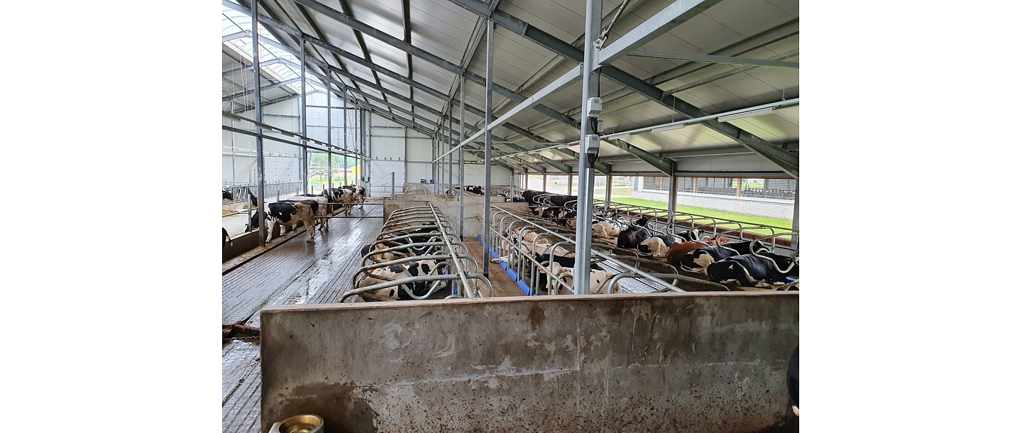 Assembly and electrical installation of Delaval cow farm equipment