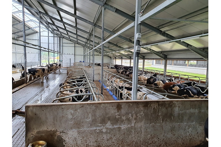 Delaval govju fermu aprīkojuma montāža un elektromontāža