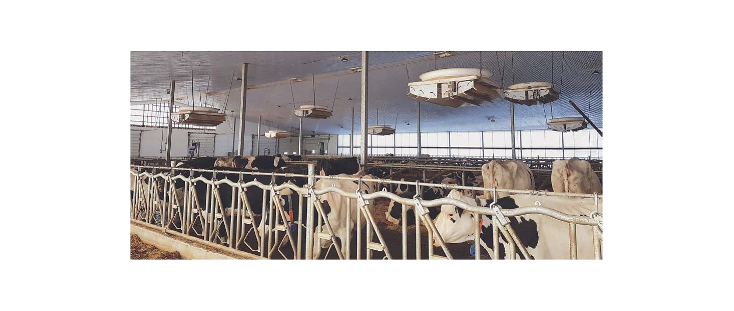 Sale and installation of fans of the Canadian company SECCO